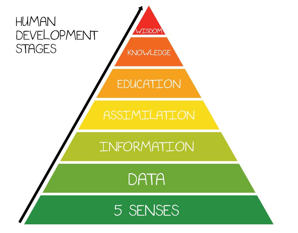 QuadSeek Learner Profile