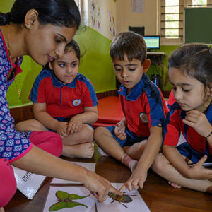Pre-primary Learning